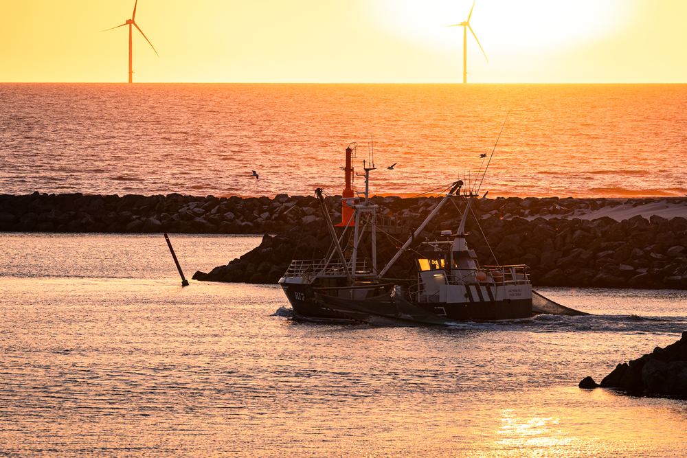 Fischkutter im ruhigen Hafen von Hvide Sande